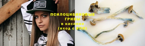 шишки Кукмор