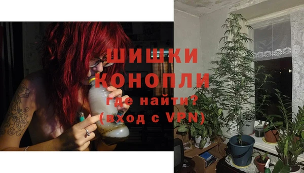 шишки Кукмор