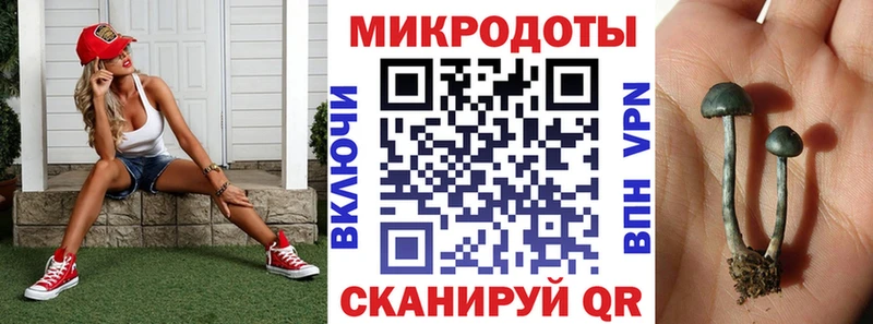 Галлюциногенные грибы Psilocybine cubensis Спасск-Рязанский